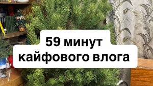 Новогодний влог 2025/2026