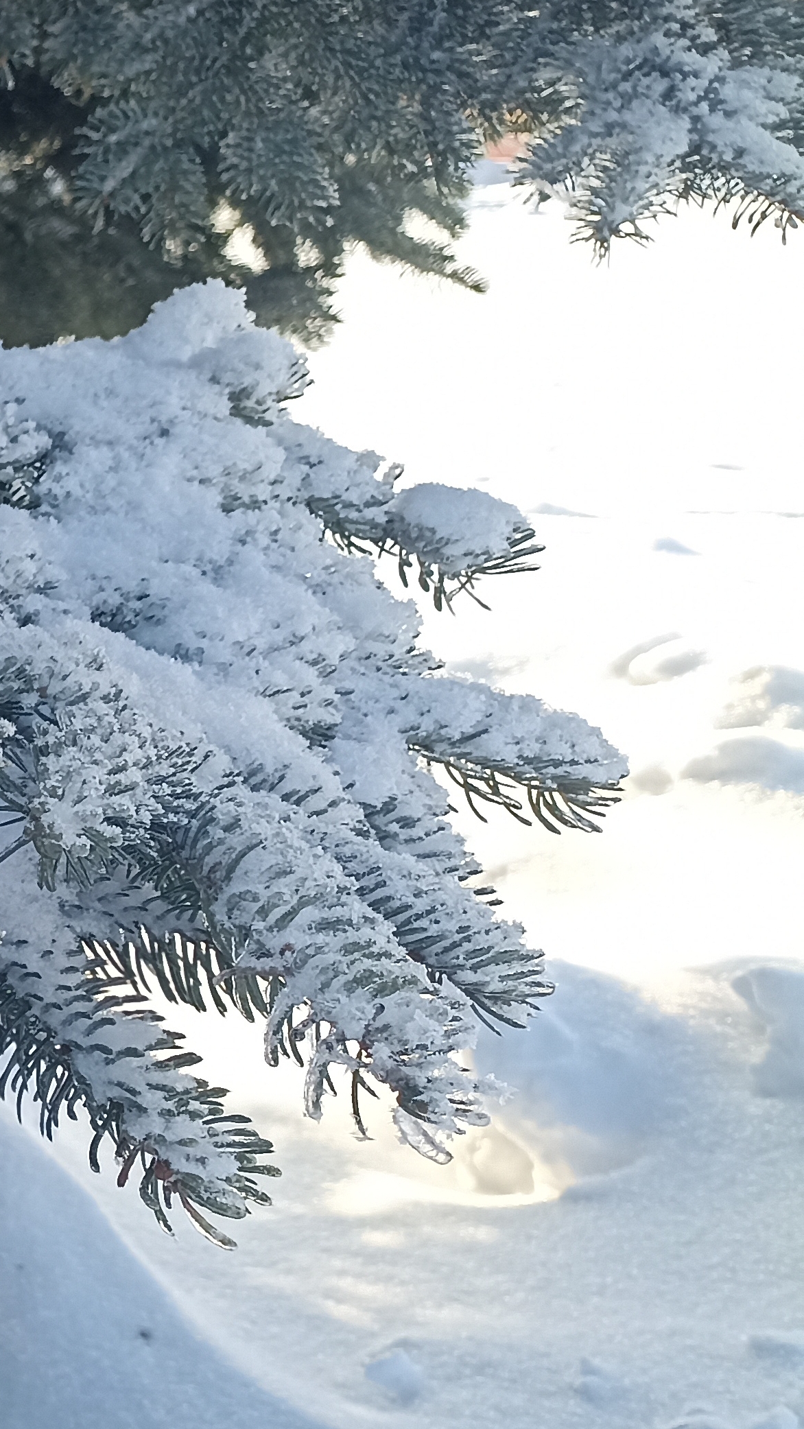 Ах ты зимушка зима