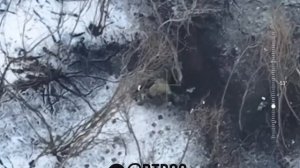 🇺🇦На четвереньки и до хаты: Последний уцелевший ВСУшник уползает со своей позиции