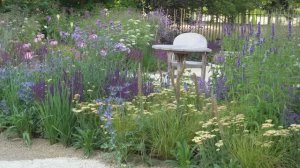 25 ЛУЧШИХ ЦВЕТОВ ДЛЯ САДА (и какие из них неприхотливы в уходе!) СОВЕТЫ БРИТАНСКОГО САДОВНИКА