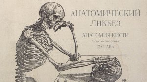 Анатомический ликбез - Анатомия кисти, часть вторая. Суставы