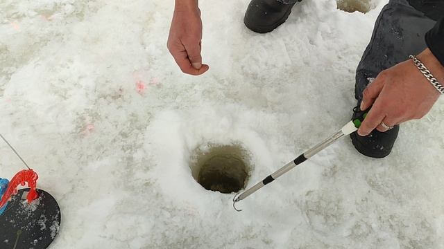 Форель на резину. Основной водоём.