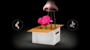 я поиграл в игру про семечко 2 часть