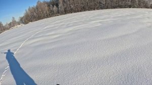 поднял зайца