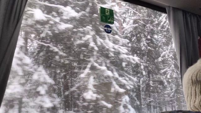 Зимняя красота из окна автобуса.Давно не видели такого🎉🌲🥳 смотреть онлайн