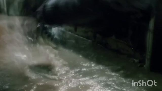 Роковой год - Душегуб смотреть онлайн