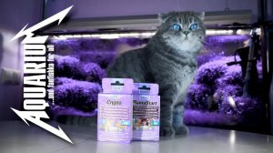 Секреты содержания аквариумных растений: удобрения и параметры воды