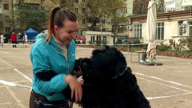 Клуб Шико. Выпуск от 17.01.26