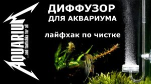 СО2 ДИФФУЗОР для аквариума! ЛАЙФХУК по чистке распылителя!