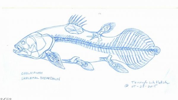 02. Fish, Amphibians, and Reptiles 03