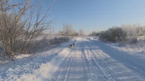 Сергеич фигни не скажет.