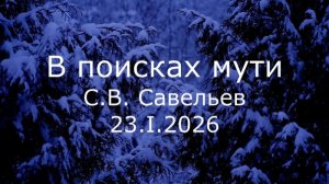 С.В. Савельев - В поисках мути