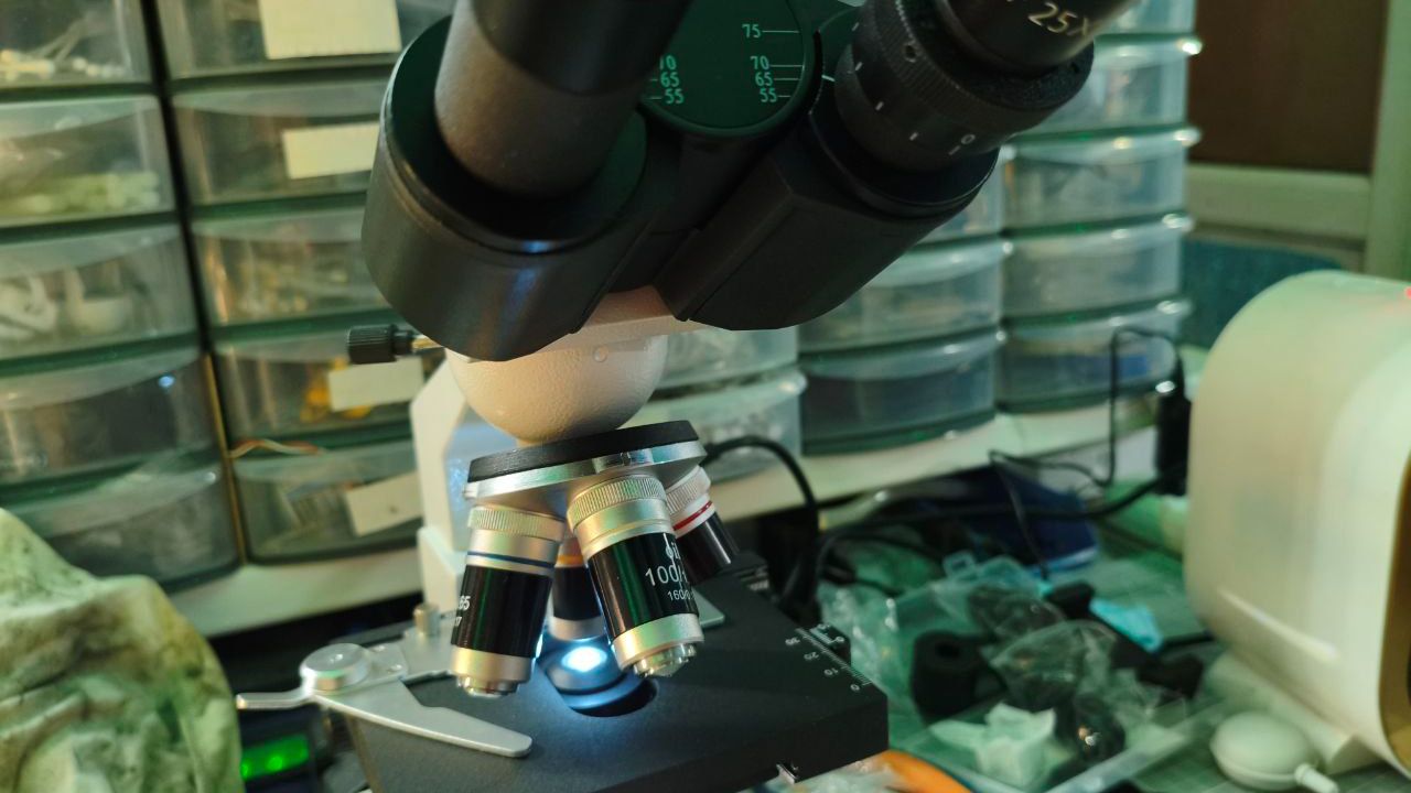 SVBONY SM201 - Разговоры, распаковка, наблюдение за первым живым существом.