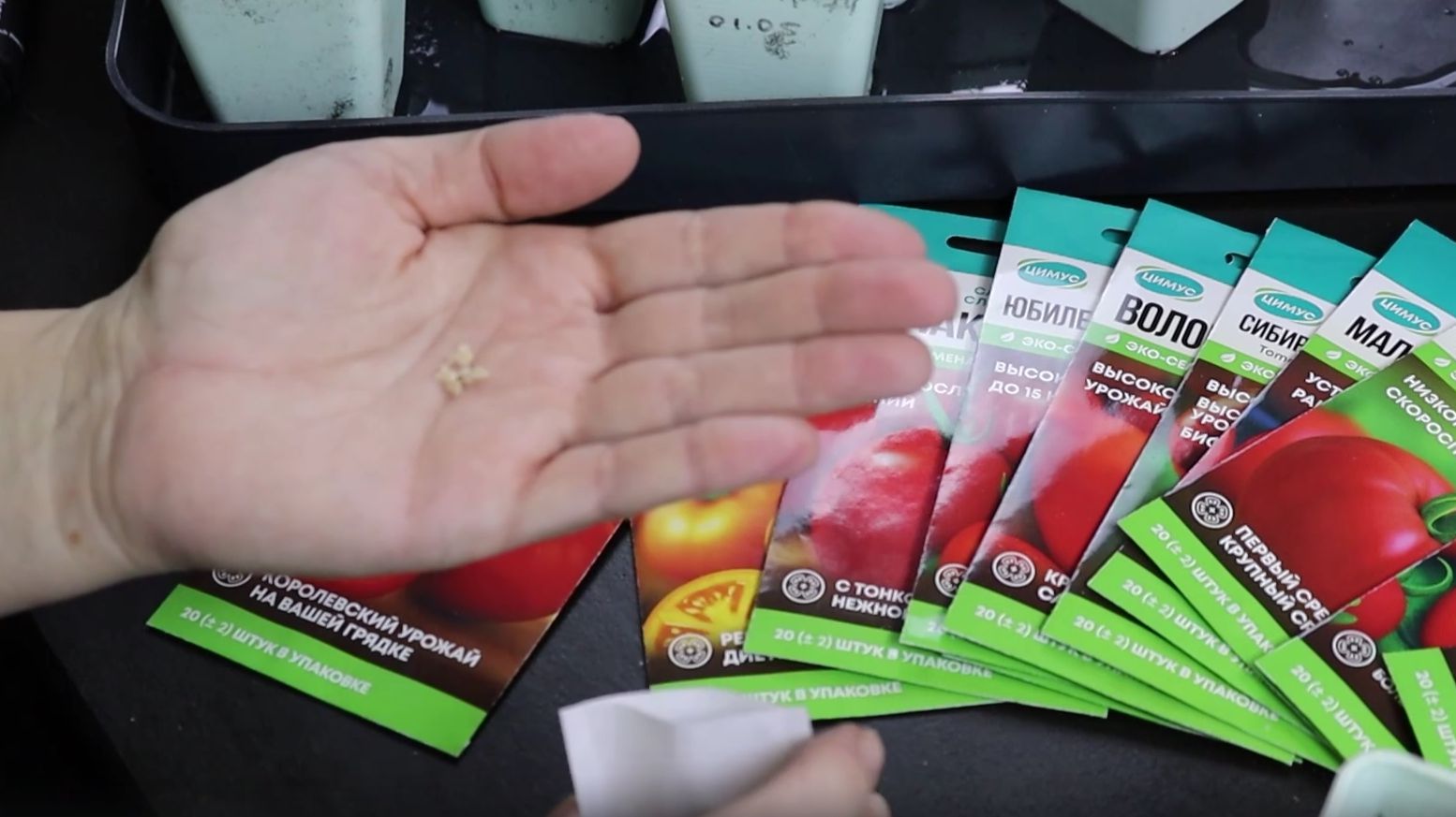 Большой ОБЗОР томатов. Расскажу, какие семена сеять в 2026 году смотреть онлайн