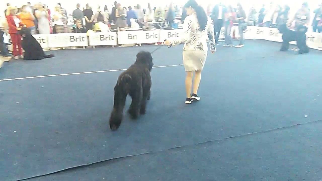 VID 20180819 153224 смотреть онлайн