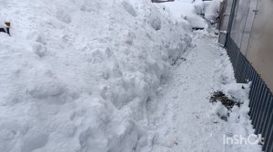 17-01-2026. Ещё одна молодка занеслась 🥚🤗👍