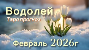 ВОДОЛЕЙ ‼️ ТАРО ПРОГНОЗ НА ФЕВРАЛЬ 2026