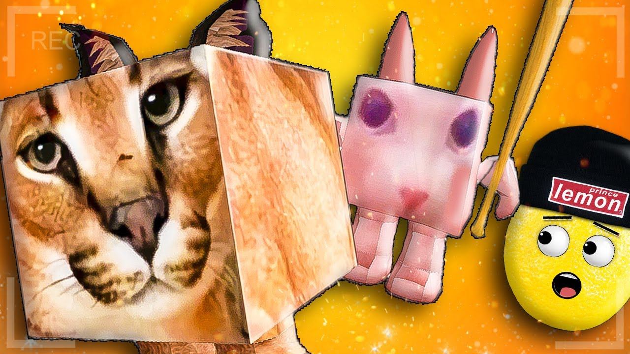 НА ШЛЕПУ НАПАЛ БИНГУС И ЧМОНЯ В РОБЛОКС! НУБАСТЕР