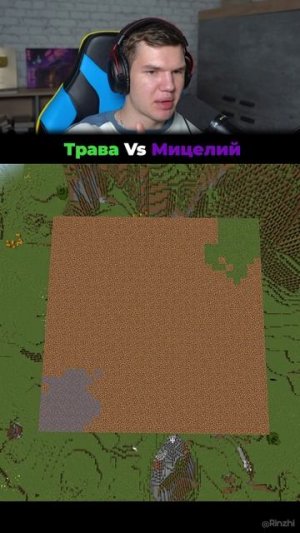 Трава Vs Мицелий в Майнкрафт!🌱🍄 #shorts #шортс #minecraft #майнкрафт #майн #прикол #мем #рофл #шут