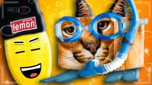 ПОДВОДНЫЙ ШЛЕПА И ЕГО ДРУЗЬЯ! Нубастер