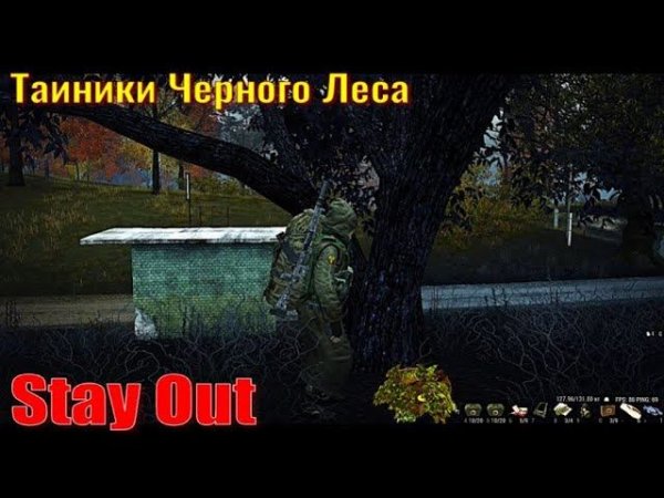 ⭐Stay Out⭐ Тайники Черного Леса . ЮТУБ НЕ РОБИТ VK - PLAY .