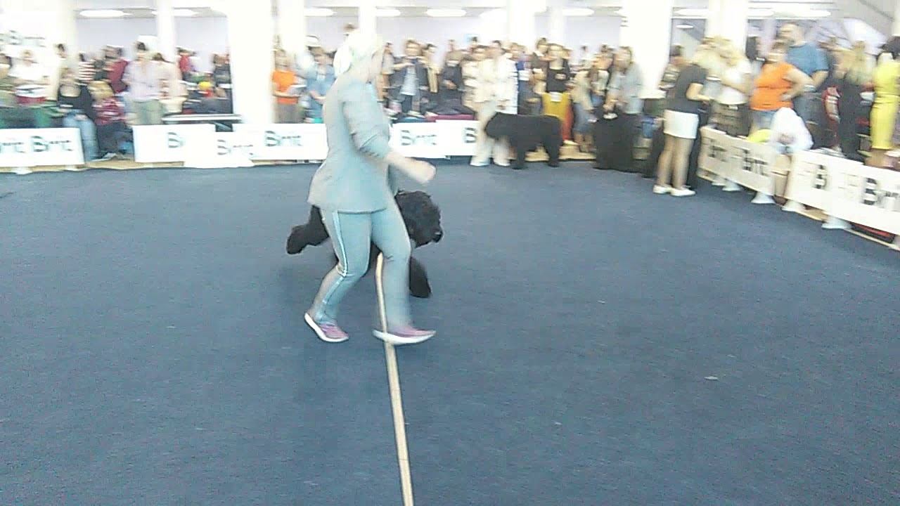 VID 20180819 153822