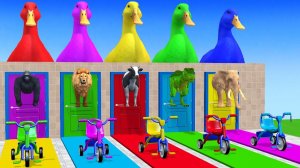 Веселые игры с слоном, гориллой, бегемотом, тигром - 3D игра с животными - Забавные 3D животные