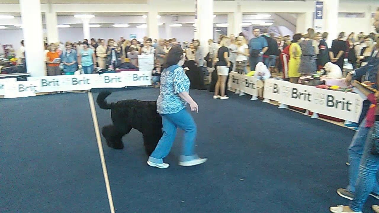 VID 20180819 153718