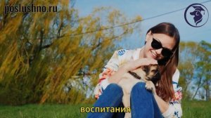 Как правильно построить отношения с собакой? Кинолог Игорь Алтайский.