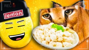 РЕДКИЙ ШЛЕПА БЫЛ НАЙДЕН В РОБЛОКС! НУБАСТЕР