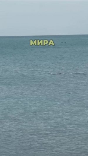 выйти из сценария