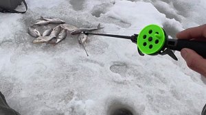 Интересная Погода с Хитрыми Поклевками! Рыбалка на Оке со Льда! Зимняя Рыбалка!