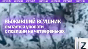 Уполз на четвереньках с разрушенной позиции — ВСУшник пытается спасти свою жизнь