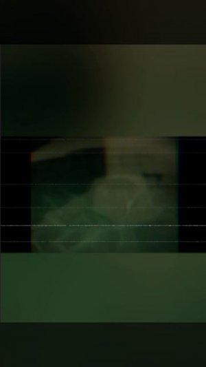 ROOMS POOLS SURVIVAL