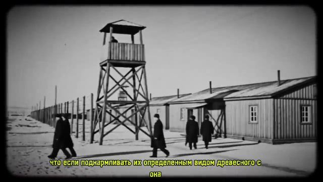 ЗАКЛЮЧЁННЫЙ-ГЕНИЙ： Прожил 30 лет в ДЕРЕВЕ и вернулся НАЗАД! смотреть онлайн