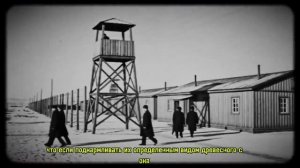 ЗАКЛЮЧЁННЫЙ-ГЕНИЙ： Прожил 30 лет в ДЕРЕВЕ и вернулся НАЗАД!