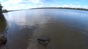 ВОТ ЭТО ВОЛГА! НАШЛИ ЯМУ С САЗАНАМИ И ЛЕЩАМИ И ЛОВИМ ИХ НА ДОНКИ