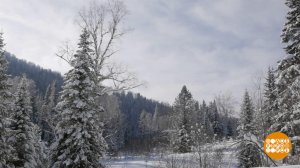 Подморозило? Доброе утро. Суббота. Фрагмент выпуска от 17.01.2026