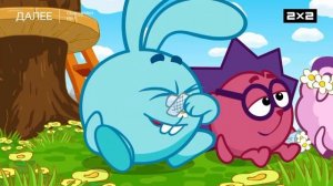 Плашка 2х2 Далее Смешарики (12+) (17.01.2026)