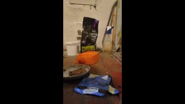 Сухой корм L'amour смотреть онлайн