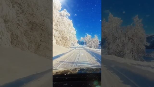 А ты ведь мог Любовь не предавать