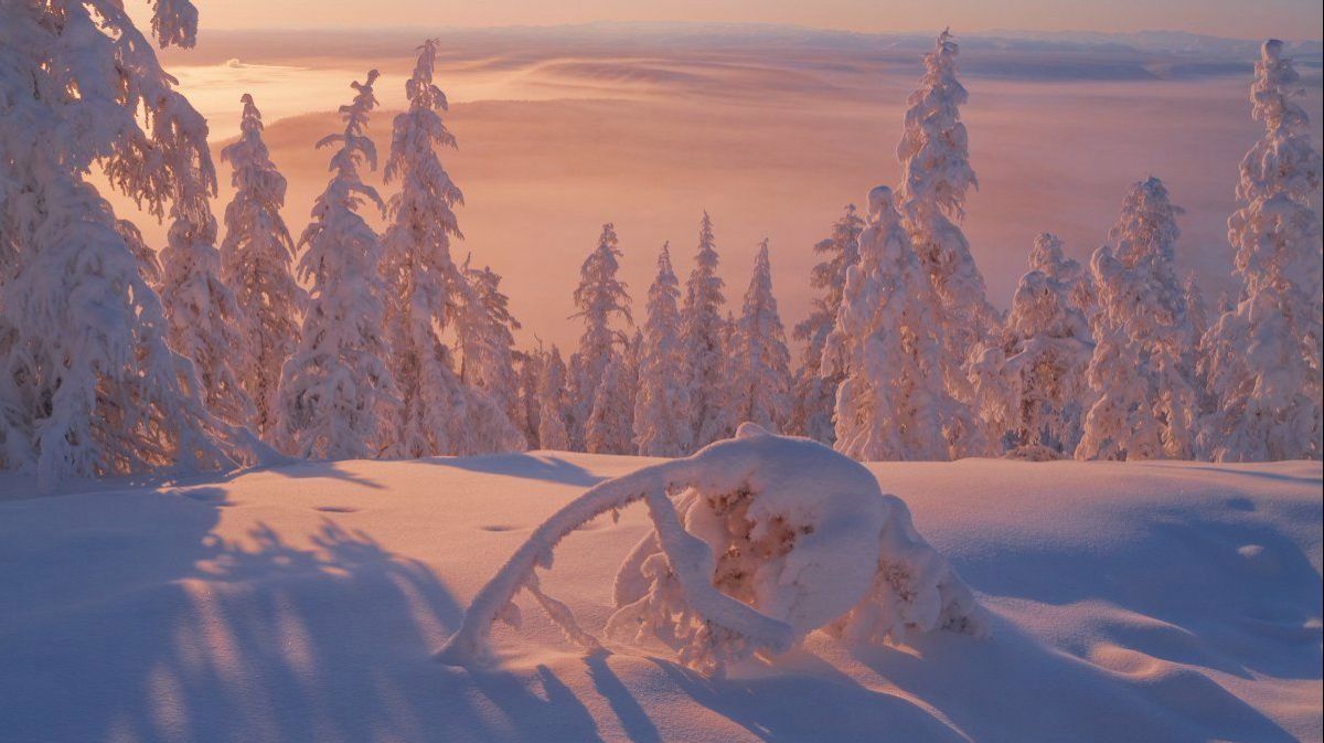 ТЫ УКРОЙ МЕНЯ СНЕГОМ ЗИМА АЛЕКСАНДР МАЛИНИН смотреть онлайн