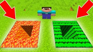 КАКУЮ ЯМУ НУБ ВЫБЕРЕТ В МАЙНКРАФТ? МИР ЛАВЫ ИЛИ КАКТУСОВ