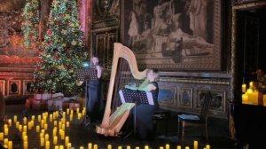 К. Сен-Санс "Лебедь"  из цикла "Карнавал животных".mp4