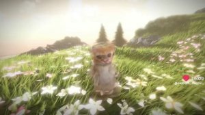 у.  котёнка день рождение