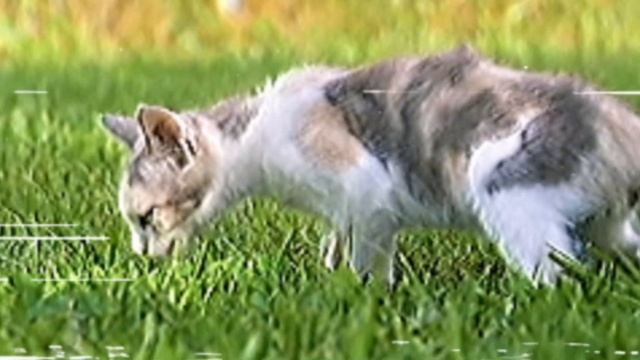 Entity episode 4 смотреть онлайн