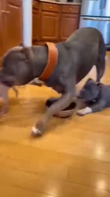 Не боюсь я никого...