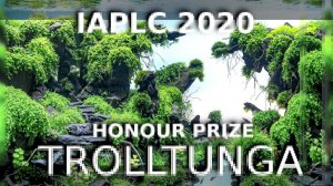 Один из лучших акваскейпов Мира «ЯЗЫК ТРОЛЛЯ» WORLD RANK 20 IAPLC 2020