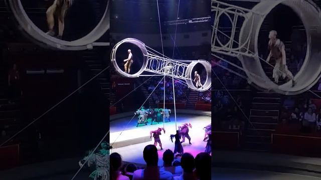 Колесо фортуны и Трюки на нем. Аскольд Запашный смотреть онлайн