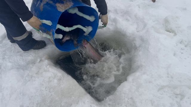 copy_31BA54C6-4192-4435-84FF-ABAE565F91DD смотреть онлайн